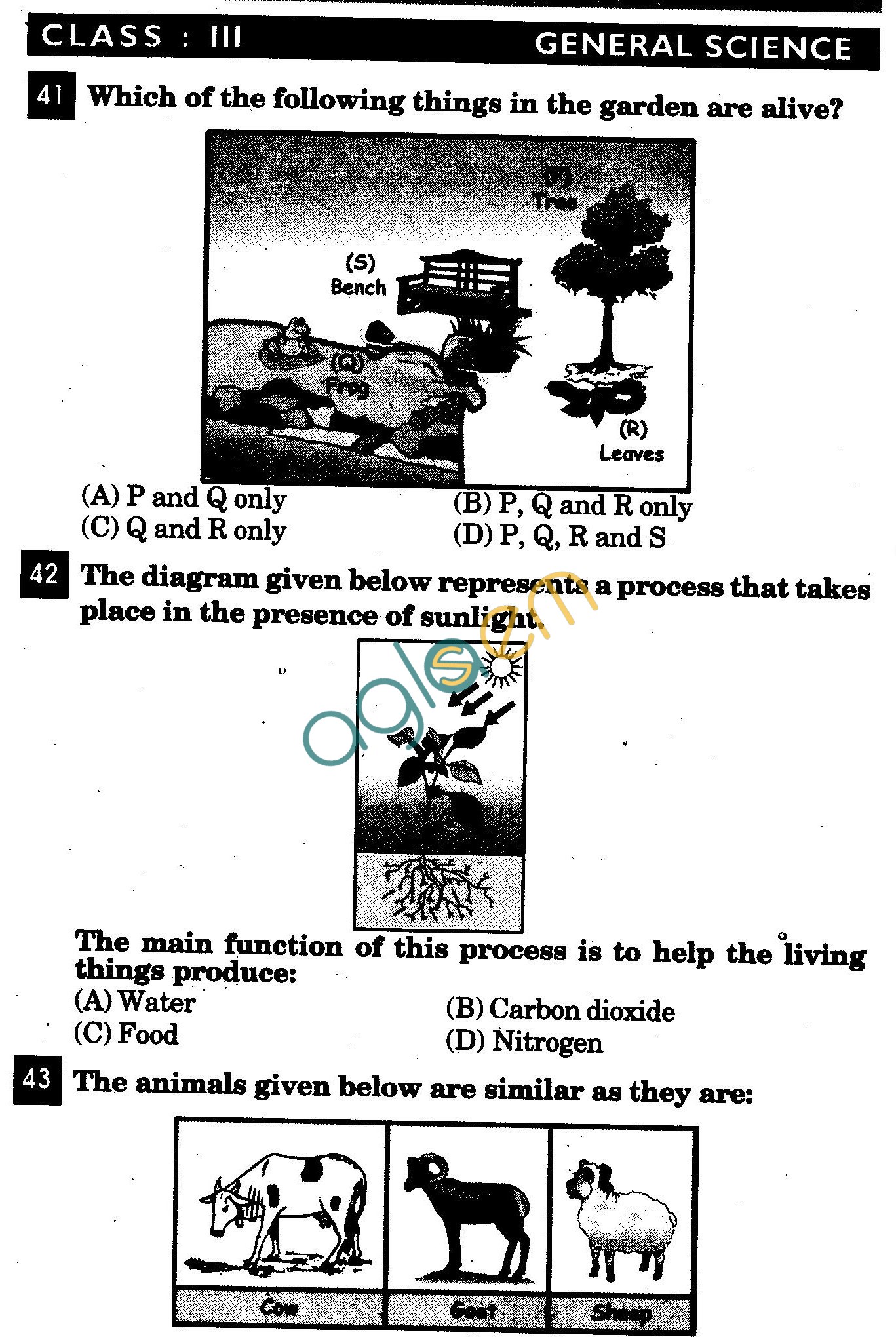 NSTSE 2011 Class III Question Paper with Answers - Science