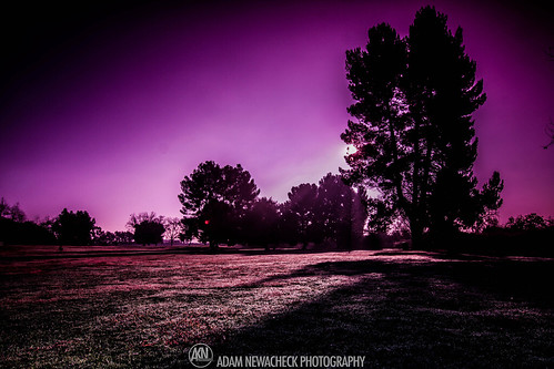california photography losangeles gallery purple unitedstates nd slideshow cokin akn newacheck newch aknphotos cheapnd lotsofnd