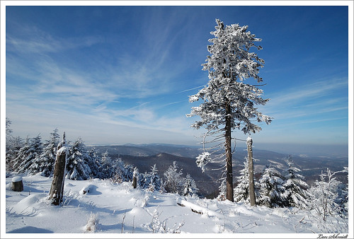 schnee winter snow tree nature landscape natur landschaft wald baum thüringerwald groserinselsberg tamron1024mmf3545spdiiildaslif
