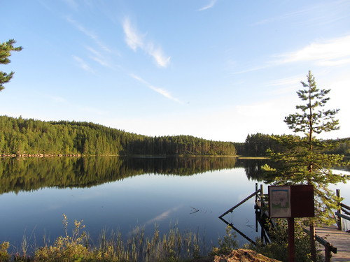 lake forest evening sweden calm dalarna tranquil gryssen lakegryssen leksandskommun