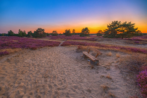 nemitzerheide nemitz trebel heide heidelandschaft heidekraut heideblüte heidegebiet heideregion wendland elbhöhenwendland elbuferdrawehn elbtalaue lüchowdannenberg sonnenuntergang sunset sundown niedersachsen lowersaxony norddeutschland northerngermany deutschland germany europe europa landschaft landscape hdr hdrtm highdynamicrange hdri maikrichter metalmaik maikrichterphotography maikrichterfotografie maik richter canon canoneos6d 6d dslr digitalart digitalekunst digital sommer summer 2016 august natur nature naturschutzgebiet