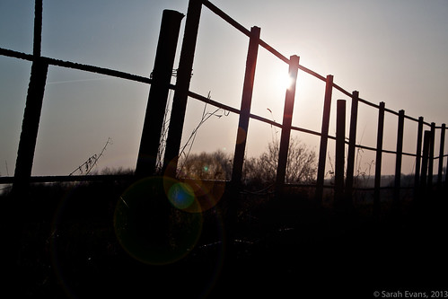 trees light sunset england nature silhouette fence spring naturallight lensflare treebranches broom warwickshire canoneos500d lightroom3 photoshopcs5