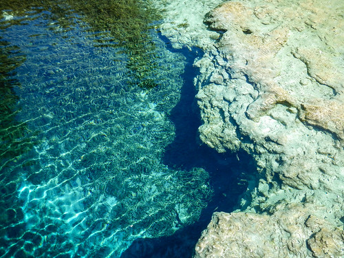 blue water spring florida springs freshwater gilchrist santeferiver