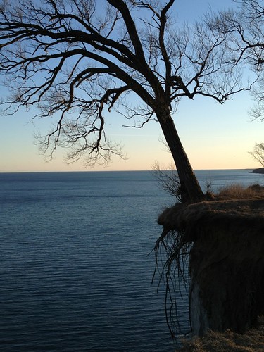 sunset cliff toronto ontario hanging scarborough lakeontario cliffside mytree scarboroughbluffs iphone4s