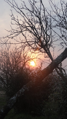 wild sun color sunrise soleil shine bretagne lumiere paysage campagne morbihan couleur coucherdesoleil trefflean benerlin