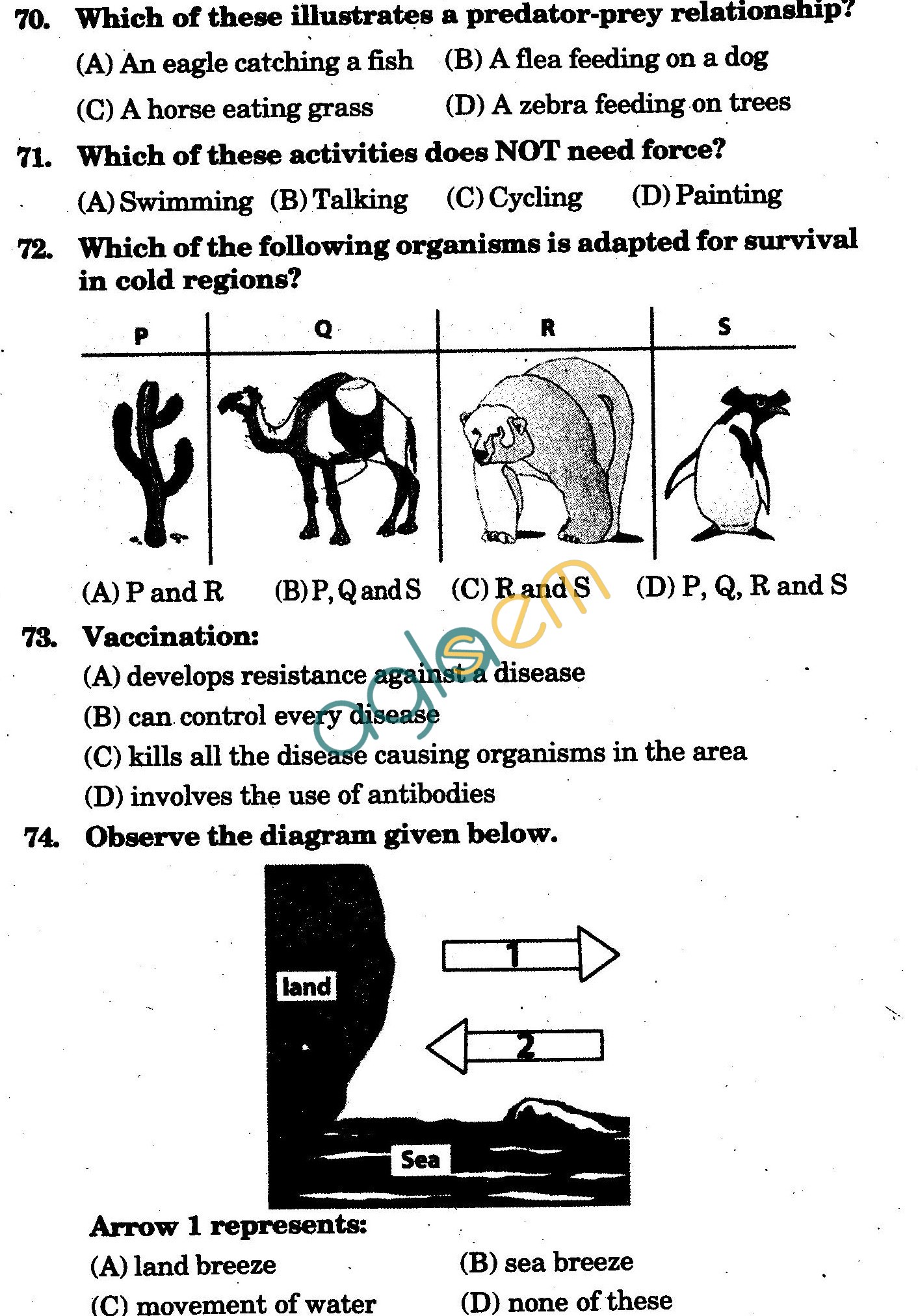 NSTSE 2009 Class V Question Paper with Answers - Science