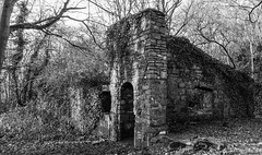 Old building in the woods