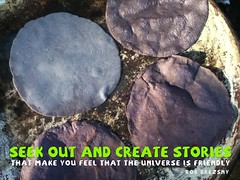 Seek out and create stories that make you feel that the universe is friendly. #quotes