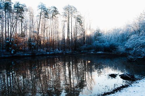 sun lake snow storm green ice sunrise way geese nc pond woods apartments north greensboro carolina brandt rise greenway