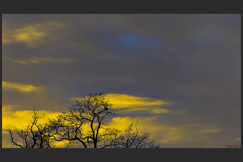 sky tramonto nuvole cielo albero inverno colori rami nubi
