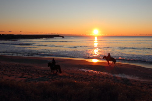 sunset horse beach norway wideangle hå ogna
