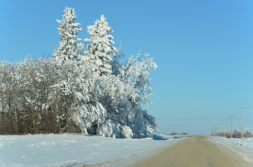 road winter snow canada rural landscape december manitoba 2012 12月 カナダ 師走 shiwasu 十二月 じゅうにがつ jūnigatsu priestsrun 平成24年 マニトバ州