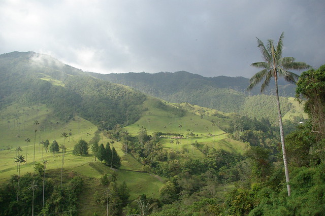 Exploring the Cocora Valley in Colombia by Jeep
