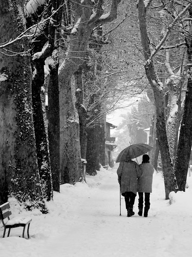 old white snow black senior walking nikon elderly promenade neve neige aged bianco nero sunsetboulevard passeggiata vialedeltramonto d5100