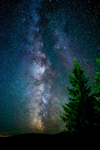 night astrophotography milkyway stars scorpius constellation sky pinetrees srbija serbia novavaros zlatar nikon sigma d7100 astro alone cold zlatibor uvac
