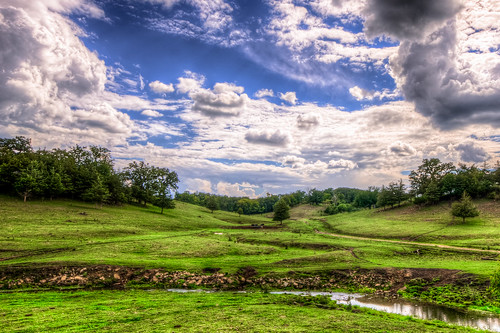 blue trees summer sky white green water field grass wisconsin clouds rural creek stream warm unitedstates cows pentax farm sigma pasture argyle 1020mm hdr k5 tonemapped sigma1020mmf456exdc
