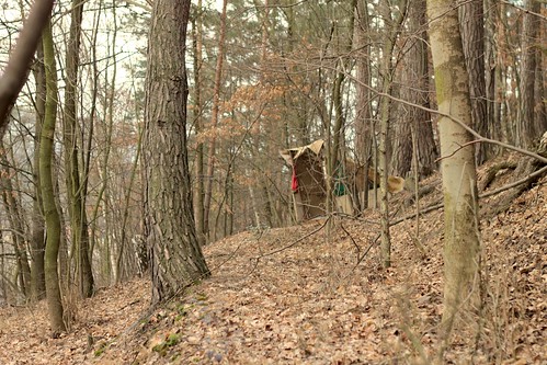 50mm woods czechrepublic flickrfriday lostinthewoods 2013 čertovyhlavy 0303čertovyhlavy