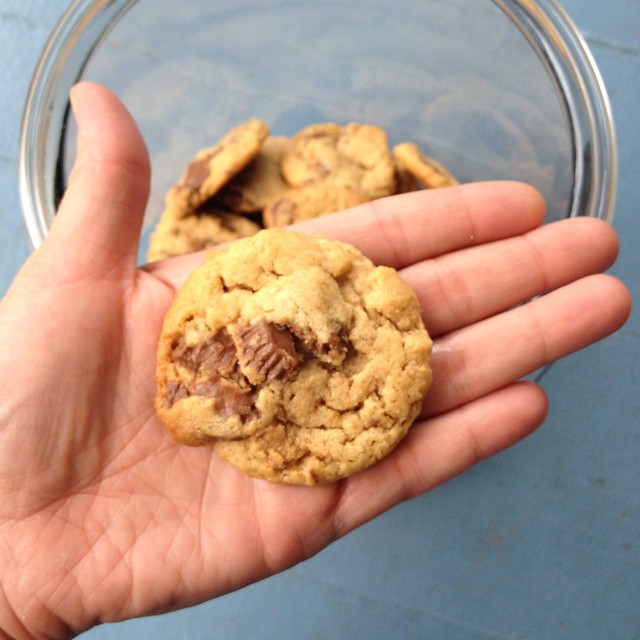 Pb Cup Cookie