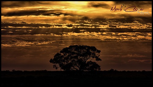 orange sunlight tree silhouette clouds sunrise canon australia nsw 5d outback hay plains sunray murrumbidgee 400mm ef400mmf56lusm ef400mmf56l hayplains haynsw 5dmarkiii markcooperphotography
