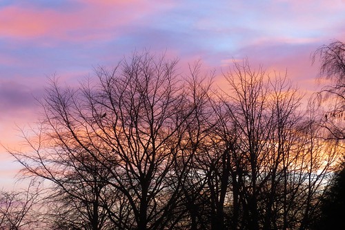trees sky clouds sunrise canon silhouettes wiltshire warminster sueeverett severett canonpowershotsx50