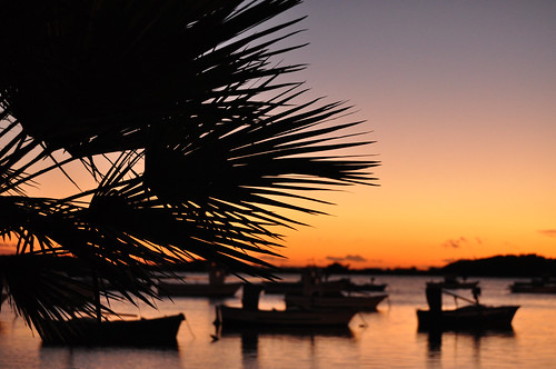 sunset sea orange water reflections boats tramonto mare silhouettes barche palm acqua palma riflessi salento puglia arancione portocesareo mygearandme ariasalentina salentoair