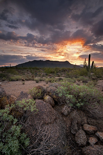 arizona nature sunrise unitedstates desert az september sonorandesert desertsouthwest userymountain sugaro userymountainregionalpark natureofthingsphotography