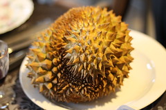 Durian - Photo of Dampierre-sur-Avre