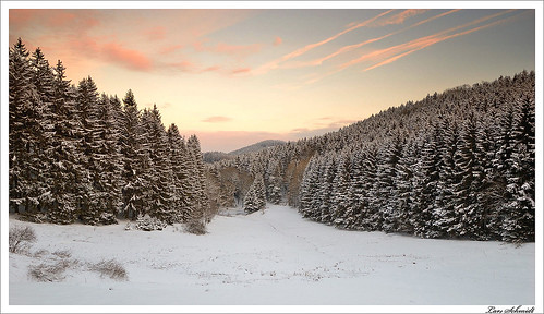 schnee winter sunset snow tree nature forest landscape sonnenuntergang natur 06 landschaft wald baum cokin polfilter thüringerwald ndgrad 121m circularpol tamron1024mmf3545spdiiildaslif