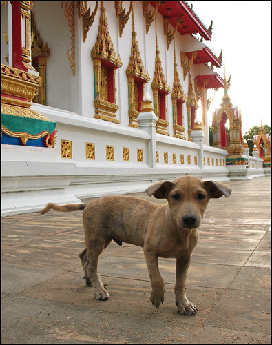 Karon Temple, Phuket