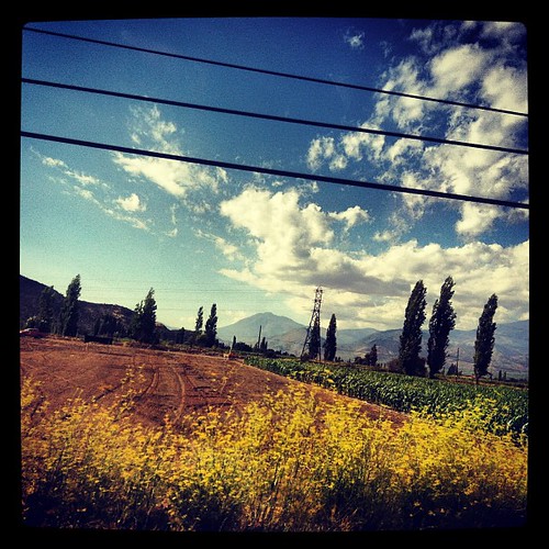 chile cloud bus window field square wire squareformat iphone iphoneography instagram instagramapp xproii uploaded:by=instagram foursquare:venue=4e491c7cd4c065cb6bc13784