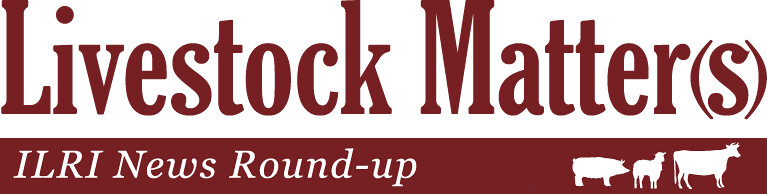 Livestock matter(s): ILRI News Round-up banner