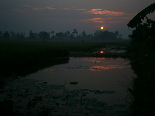 weather fog sunrise thailand chachoengsao ประเทศไทย เมืองไทย พระอาทิตย์ขึ้น ดวงอาทิตย์ขึ้น
