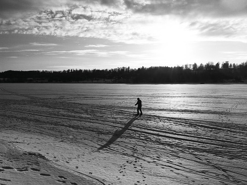 winter shadow lonely skier xcskiing skugga fryken skidåkare