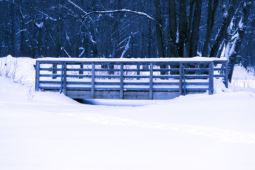 bridge winter span 52 petrieisland 52weeksofphotography nikond3100