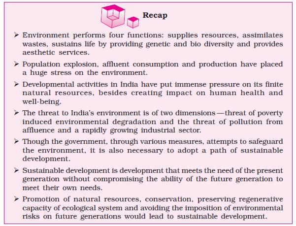 environment project topics for 11th std