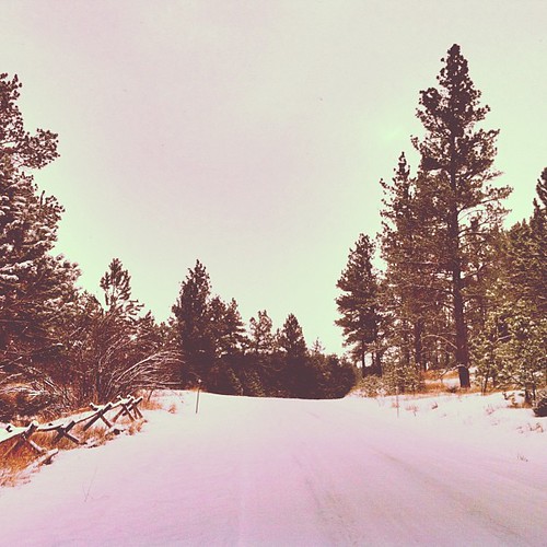 trees columbus snow square woods montana squareformat 1977 countryroad iphoneography instagramapp uploaded:by=instagram foursquare:venue=508f48eae4b0b1eedc7d0042 shanecreekroad