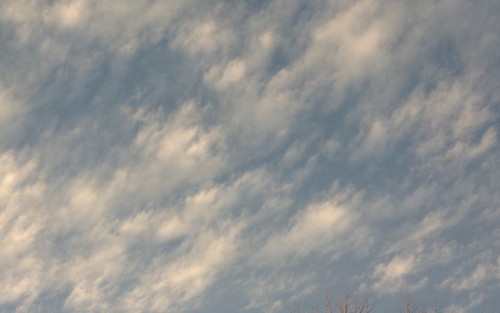 clouds sunsetclouds sunsettrees vanalstynetx