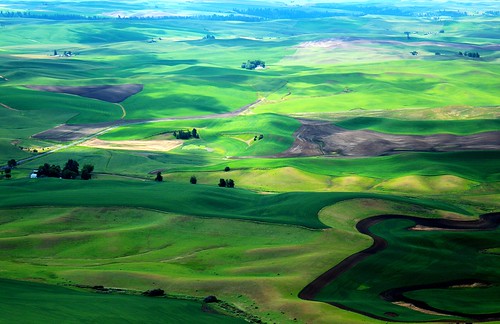 park summer green canon washington butte state pacificnorthwest washingtonstate emerald rollinghills greenhills t3i palouse steptoe palousehills emeraldgreen thepalouse buttesteptoe
