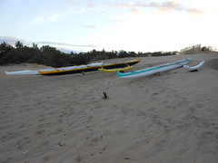 Canoes on the beach in Kihei