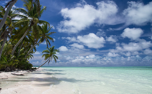 sky beach water clouds work palmtrees cocos resolute