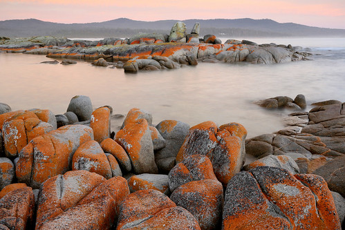 ocean water sunrise rocks tasmania bayoffires binalongbay canon5dmk3