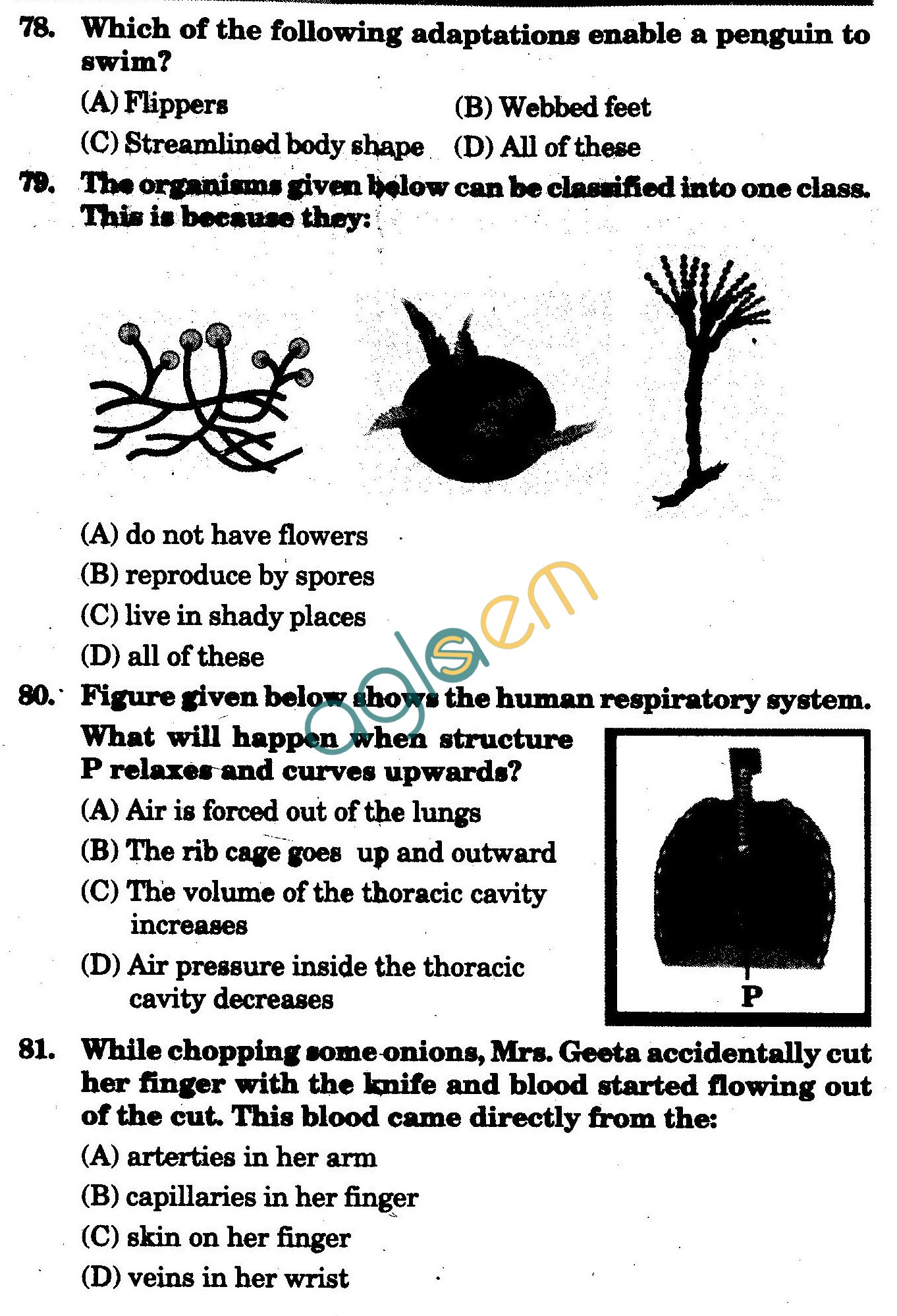 NSTSE 2009 Class VII Question Paper with Answers - Biology