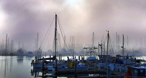 california weather fog mood piers earlymorning atmosphere maritime 500views yachts fishingboats masts mixedlight venturaharbor 100comments venturacalifornia mygearandme mygearandmepremium mygearandmebronze mygearandmesilver mygearandmegold mygearandmeplatinum