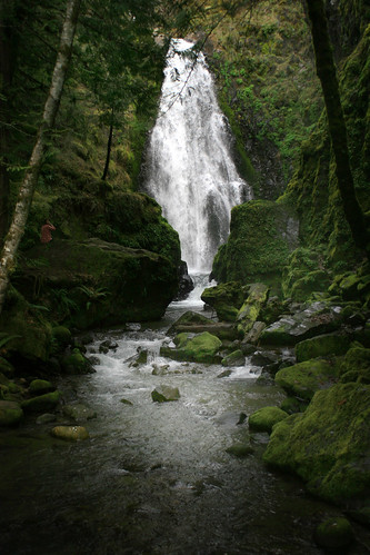 green oregon waterfall or susancreekfalls glideor
