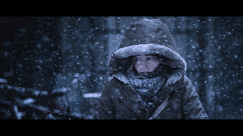 street winter woman snow cinema cold holland netherlands dutch canon fur snowflakes eos cycling frozen hoodie eyes dof bokeh candid nederland streetphotography 85mm denhaag f18 flakes cinematic thehague enclosed straat straatfotografie 2013 ef85mmf18usm 60d bokehlicious canon60d jeffkrol