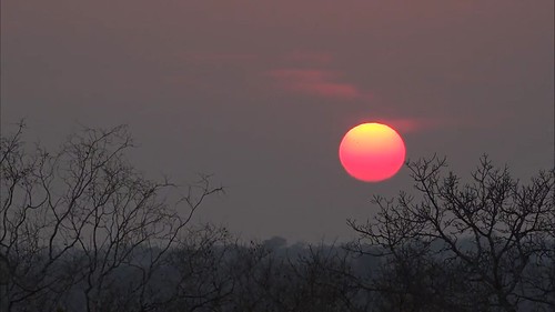 sunrise screenshot africa trees clouds