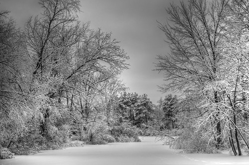winter blackandwhite snow wisconsin landscape nikon milwaukee greenfieldpark westallis milwaukeecountyparks nikond5100 jakerost