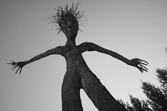 Tree man