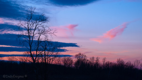 pink blue sunset sky tree silhouette clouds purple indiana d80