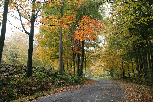 road autumn color fall leaves landscape scenery country newengland newhampshire foliage keene 2012